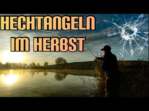 ! Hechtangeln im Herbst ! wenigstens entschneidert