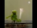 Kermit Fighting The Letter W