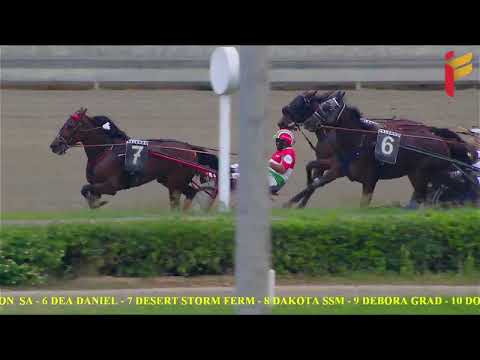 VII corsa del 12 ottobre 2022 - 3 Anni Reclamare - Metri 1600