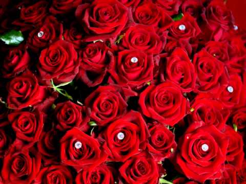 ♫♥ Buddha Bar ~ Nicos ~ passion