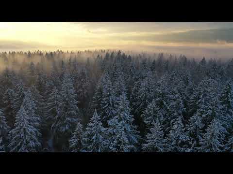 Drum and Bass Yearmix 2024 (Mixed by Eidan)