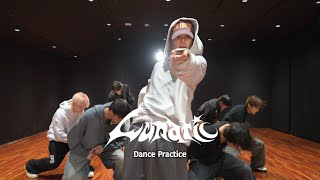 Cover art for Lunatic