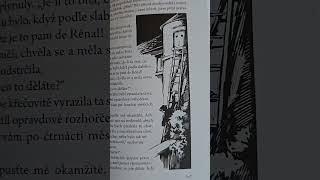 Stendhal: ČERVENÝ A ČERNÝ