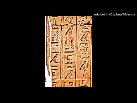 Tiptoe Through magnolia