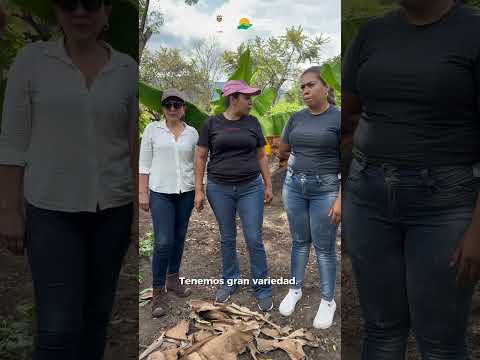 Frutos de la Reforma Agraria en Baraya, Huila.
