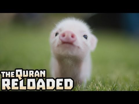 Absolutely Haram - TQR #36