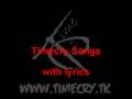 04. Timecry - The Revelation for the Beggar with lyrics ...