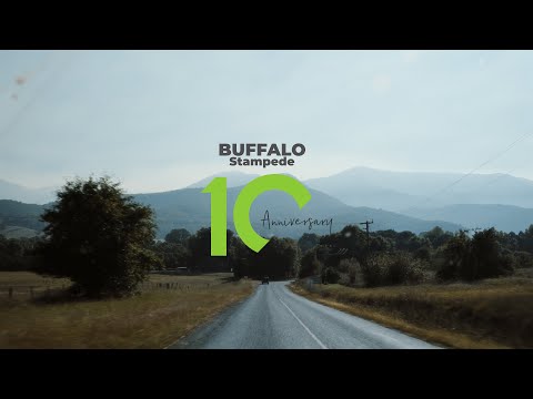 Buffalo Stampede Festival