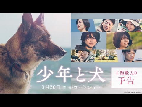 Thumbnail for video: 【主題歌 SEKAI NO OWARI「琥珀」】映画『少年と犬』主題歌入り予告映像【3月20日(木・祝)公開】