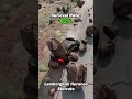Cars Vs Rock Slide