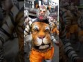 Tiger Man Dancing