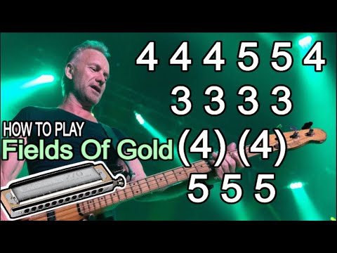 FIELDS OF GOLD HARMONICA ( CHROMATIC ), ARMÓNICA CROMÁTICA, GAITA DE BOCA MUNDHARMONIKA, MOUTH ORGAN