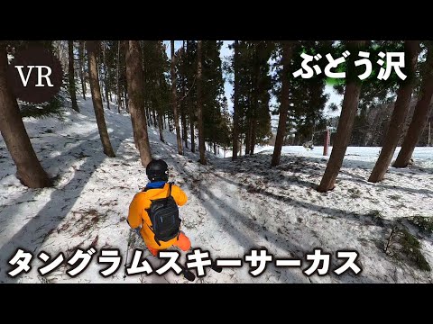 Video: タングラムスキーサーカス：ぶどう沢【VR】