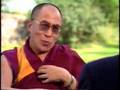 Dalai Lama Kills A Mosquito