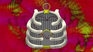 Ribcage - Andy Black (lyrics)