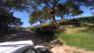 Paso Robles Wine Country - Little Organic Farm & Cottages B&B