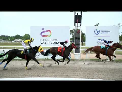 211203 c05 - PORTO RIQUENHO (BRZ) - HIPODROMO LAS PIEDRAS