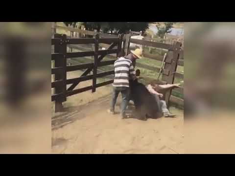 VIDEOS DE RISA / FAILS /CAIDAS GRACIOSAS /CABALLOS Y TOROS