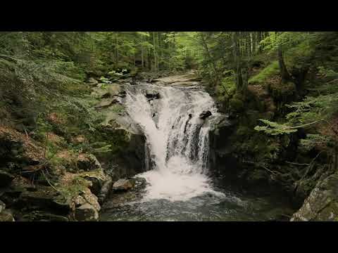 Pistoia e la Montagna Pistoiese