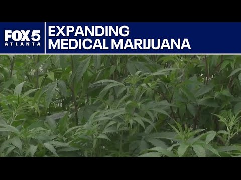 Debate over medical marijuana expansion in Georgia | FOX 5 News