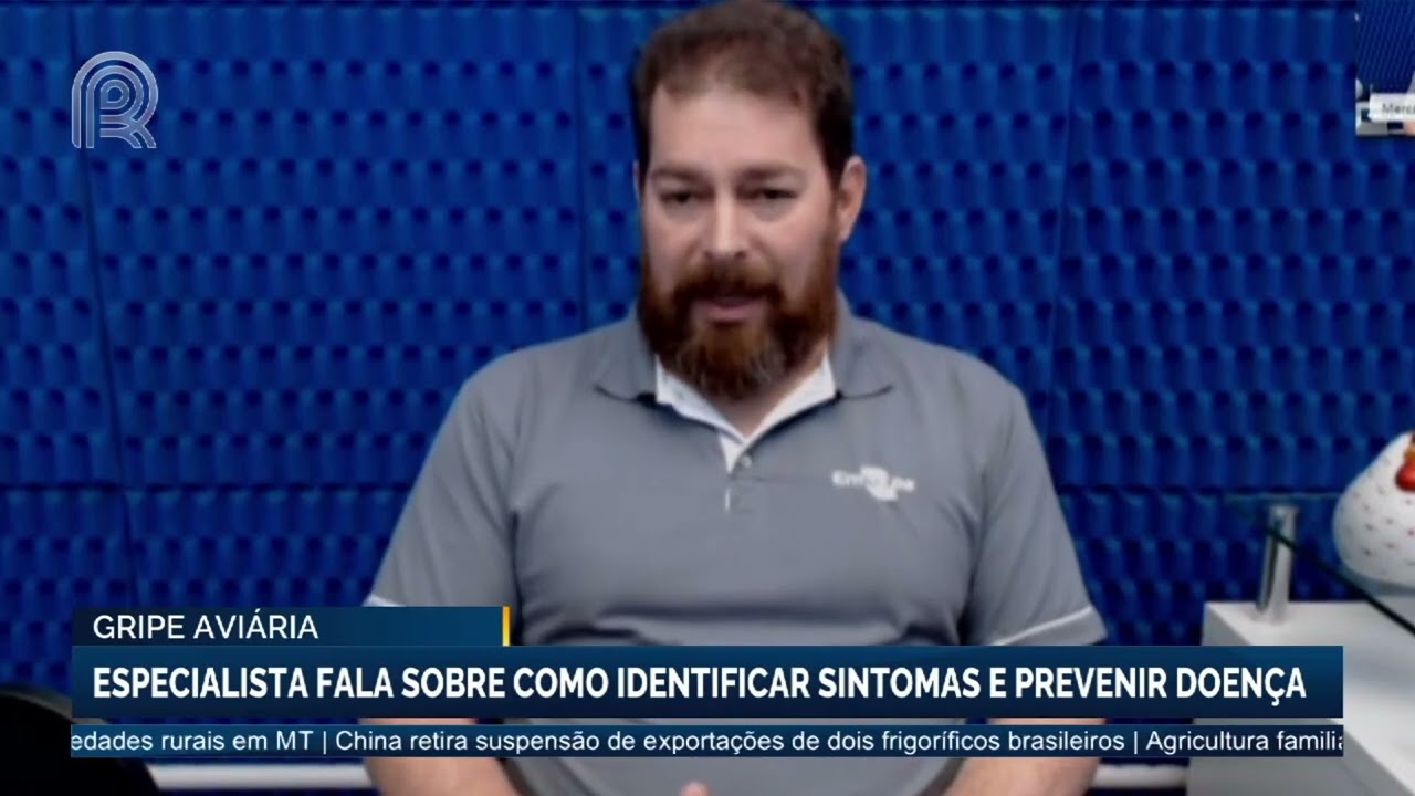 Especialista fala sobre os sintomas da gripe aviária  e como identificar e prevenir a doença