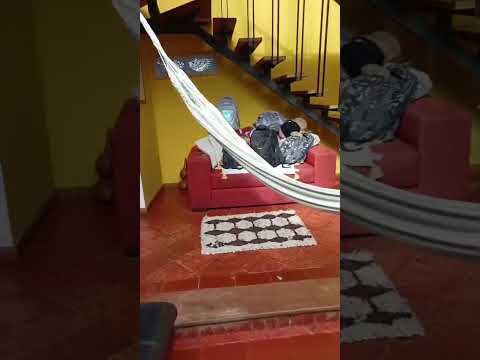 short Tuta Boyaca #shortsvideo #shortvideo #travel #boyacá #andina #nature #turismo #colombia #campo