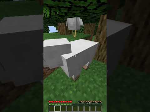 CounterCraft - 🐓minecraft but if i see chicken inside the game the video is over 🐓