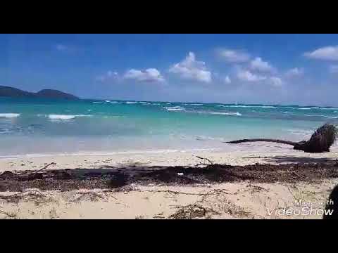 Enamorado de Playa Rincón Enamorado de Playa Rincón
