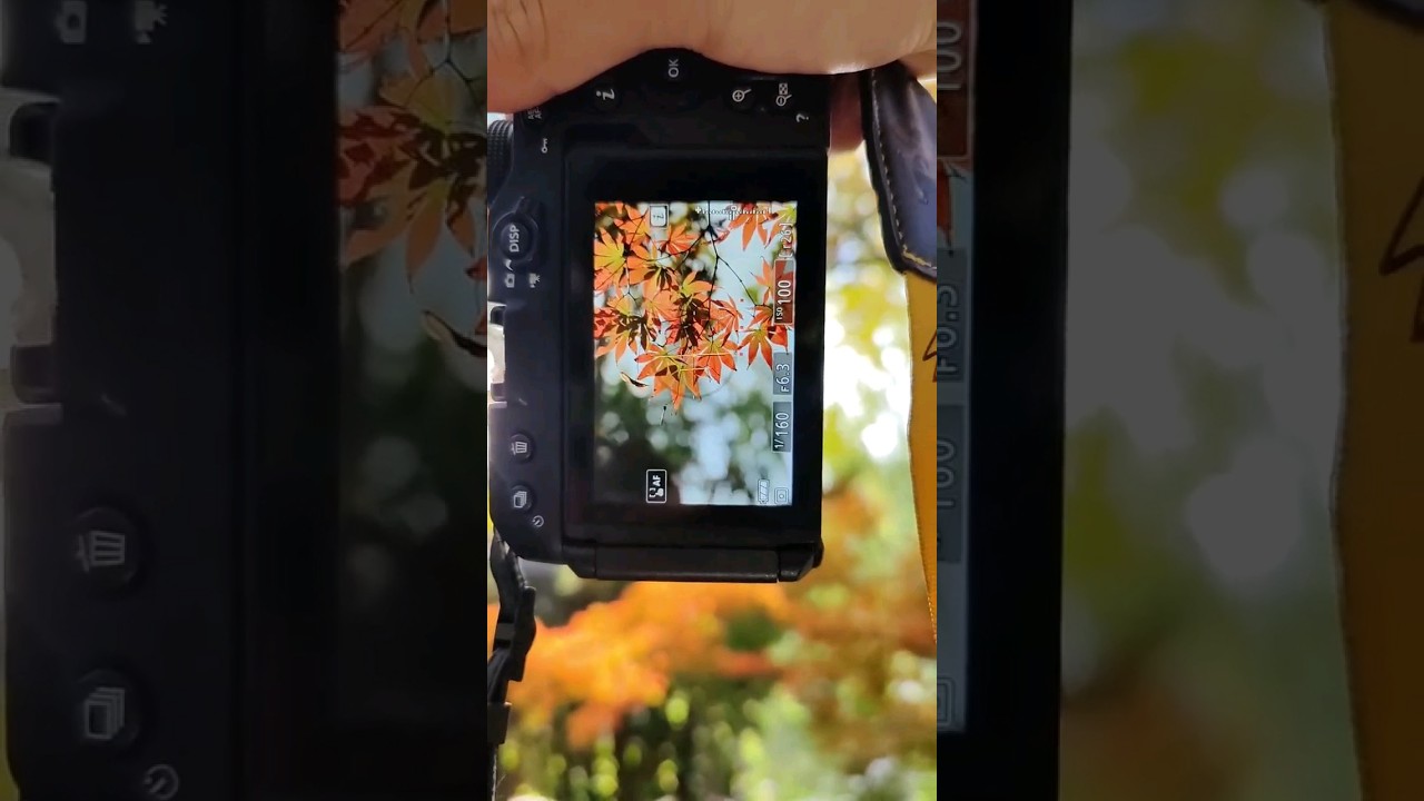 Video thumbnail for Video Review 2