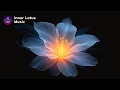 Inner Coherence 432Hz + 639Hz | Full Balance & Harmony | Chakra Healing Frequency Meditation & Sleep