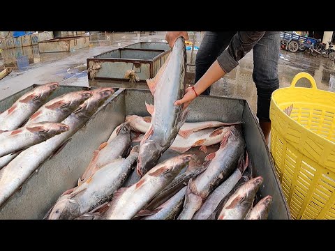 Amazing Biggest Wholesale Fish Market in Phnom Penh