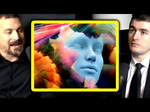 Neuroscientist explains dreams in REM sleep | Andrew Huberman and Lex Fridman