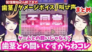 【耐久開始から終了まで】「利用規約に同意したい」闇ノシュウによる歯茎/ダメージボイス/叫び声欲張りセット