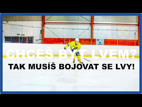 Lvi, Lvice a Lvíčata sportují