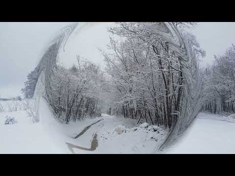 Nou Sasesc,  Neudorf bei Schäßburg,  Apaujfalu  - Seasons 2021