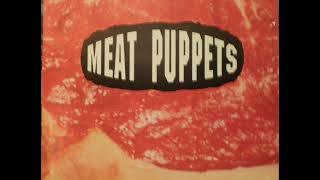 Meat puppets   Portland 200