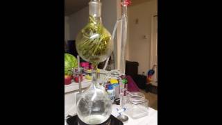 Download lagu Penyulingan minyak esensial serai mp3