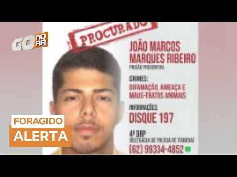 Homem é procurado por maus-tratos a animais e violência doméstica em Itaberaí (GO)