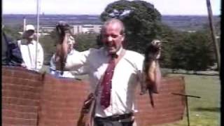 preview picture of video 'ferrets and ferreting - james mckay'
