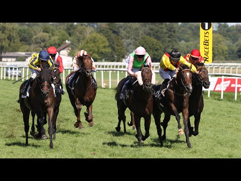 Baden-Baden: Brunner - Oettingen Rennen 2022 Sieger: Dapango