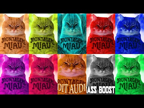 MONTAGEM MIAU - Lenar (NORMAL | SPED UP | SLOWED) || MOST POPULAR FUNK