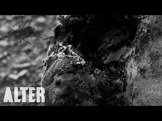 Horror Short Film "Outer Darkness" | ALTER | Online Premiere