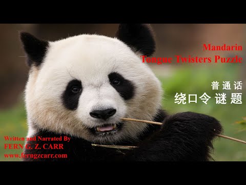 Mandarin - Tongue Twisters Puzzle