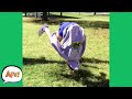 De FAILING Gravity Funny Videos AFV 2020