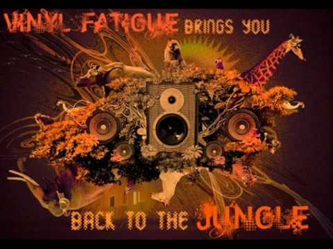 Vinyl Fatigue - Untitled