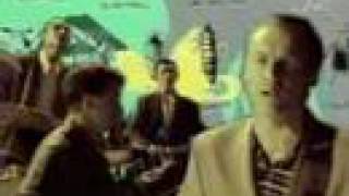 Muttonbirds - Nature