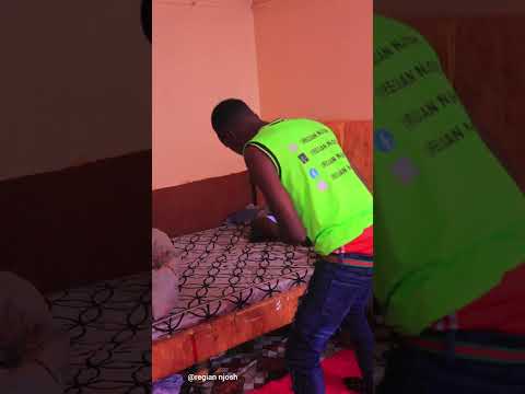 funny rat 🐀#pets #shorts