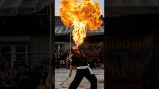 Download lagu SEMBUR API 🔥🔥🔥 #shorts #barongandevils #baronganistimewa #singobarongliar #barongan #singoparan mp3