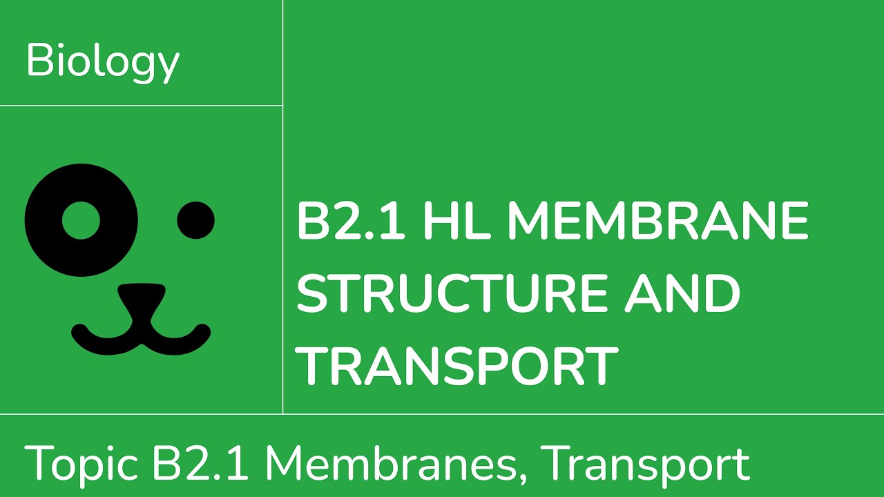 B2.1 HL Membranes and Transport [IB Biology HL]
