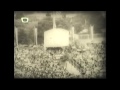 video: Hungary - Uruguay, 1954.06.30